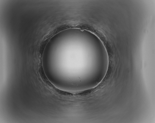 X0000113561349200909251050