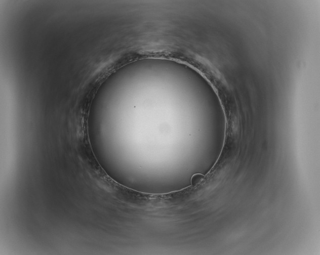 X0000113561350200909251050