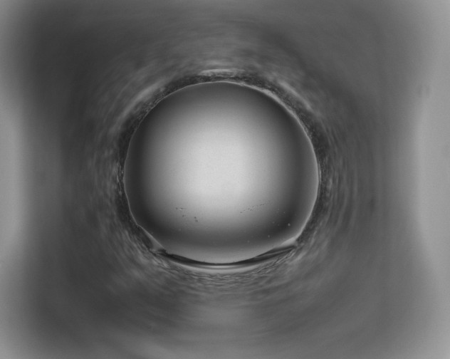 X0000113561351200909251050