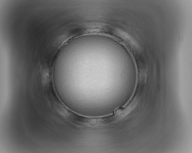X0000113561353200909251050