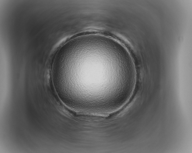 X0000113561355200909251050