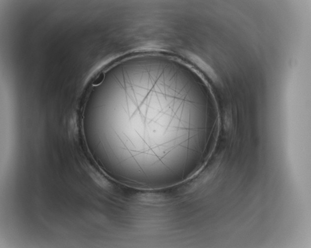 X0000113561356200909251050