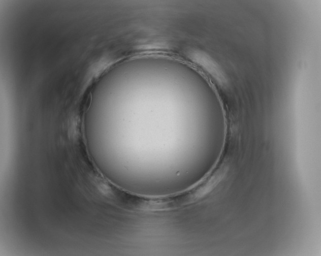 X0000113561357200909251050