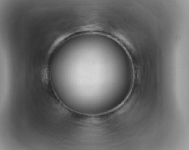 X0000113561358200909251050
