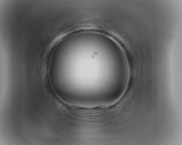 X0000113561359200909251050