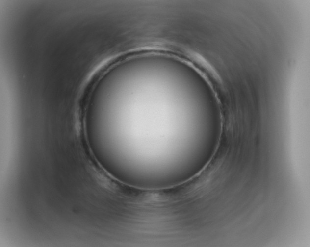 X0000113561360200909251050