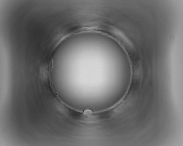 X0000113561361200909251050