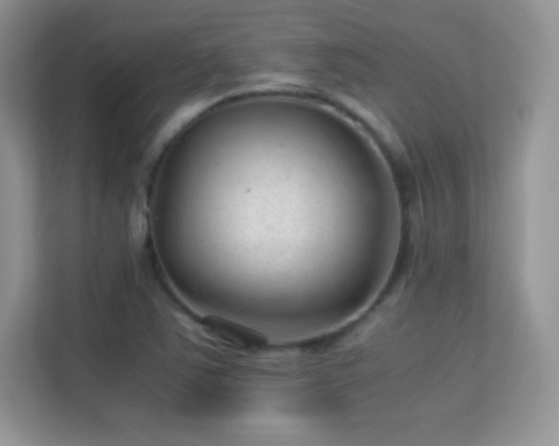 X0000113561363200909251050