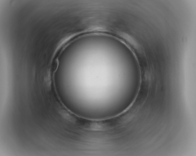 X0000113561364200909251050