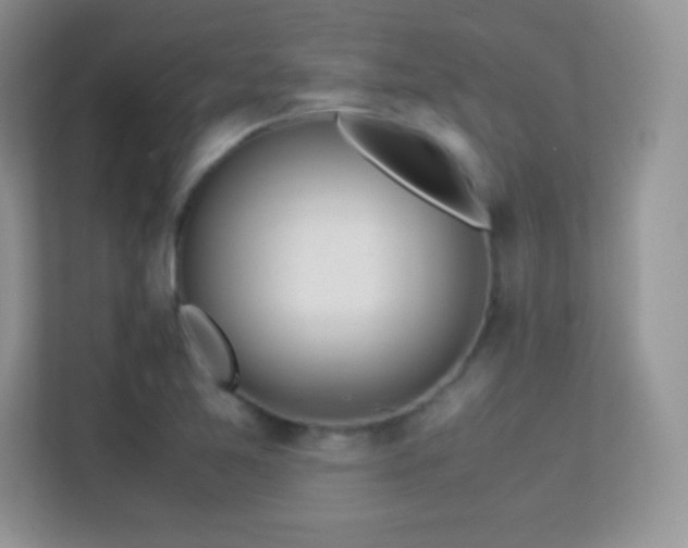 X0000113561365200909251050