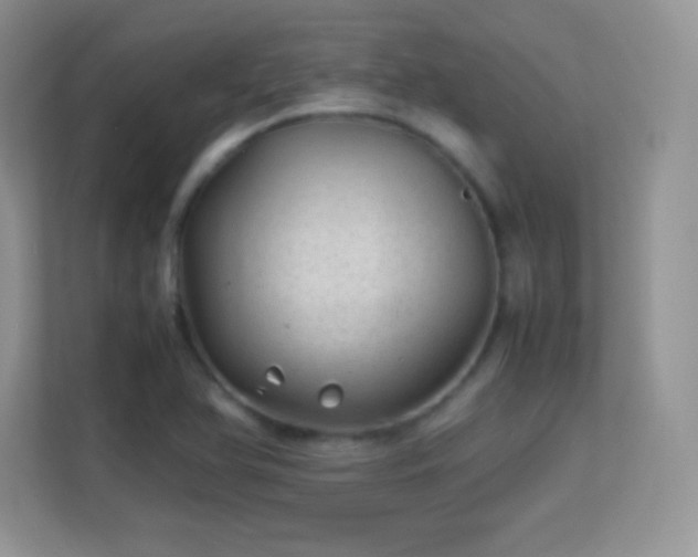 X0000113561366200909251050