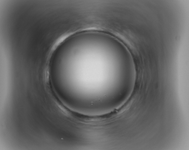 X0000113561367200909251050