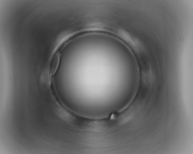 X0000113561368200909251050