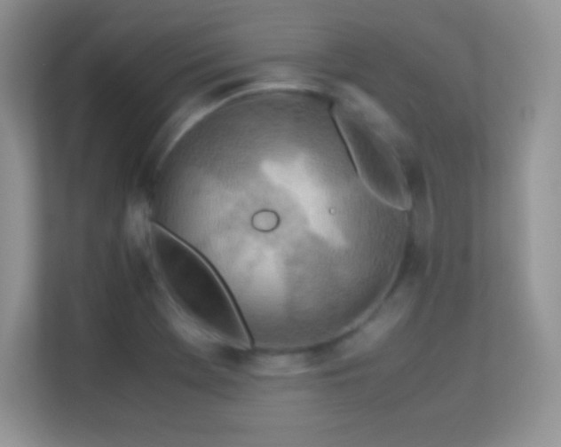 X0000113561369200909251050