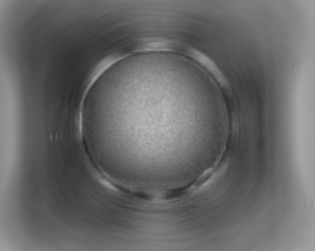 X0000113561370200909251050