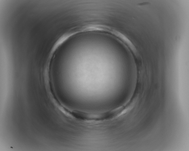X0000113561373200909251050