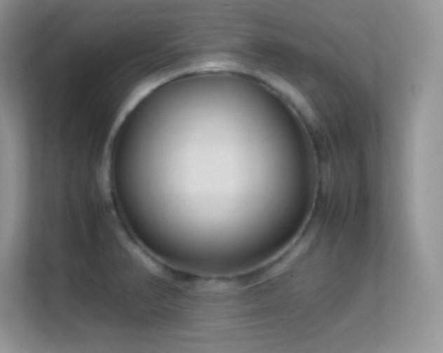 X0000113561374200909251050