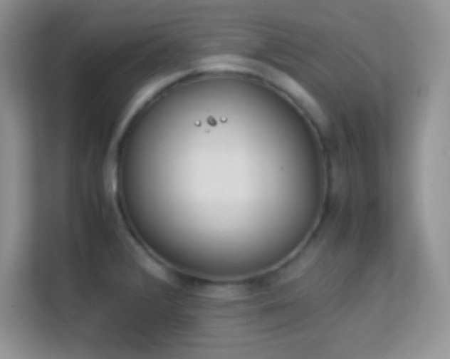 X0000113561376200909251050