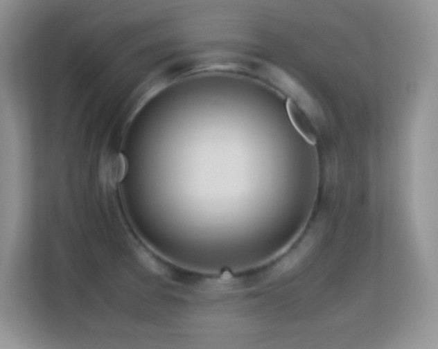 X0000113561377200909251050