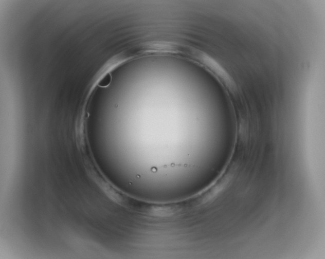 X0000113561378200909251050