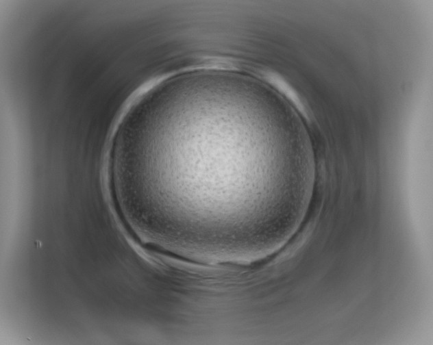 X0000113561379200909251050