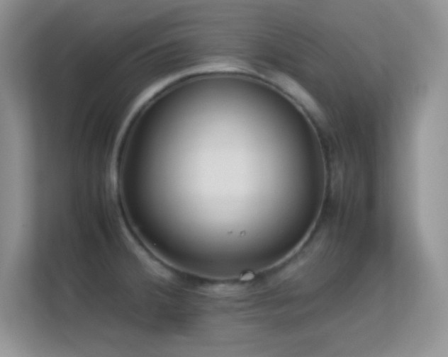 X0000113561380200909251050