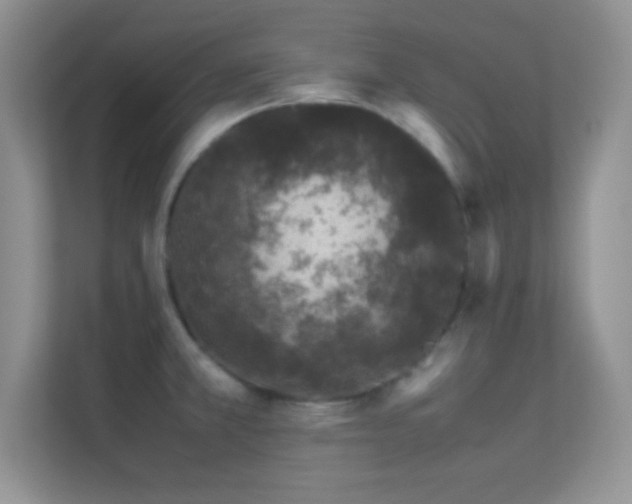 X0000113561381200909251050