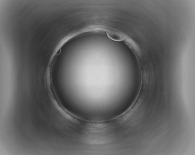 X0000113561382200909251049