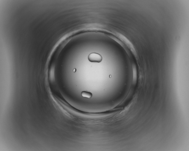 X0000113561384200909251049