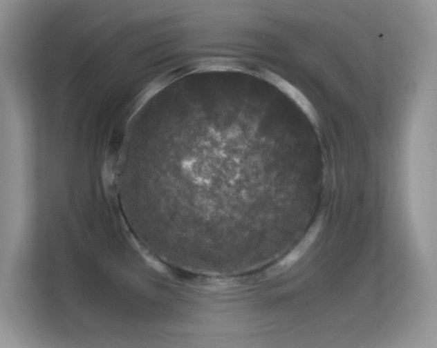 X0000113561385200909251049