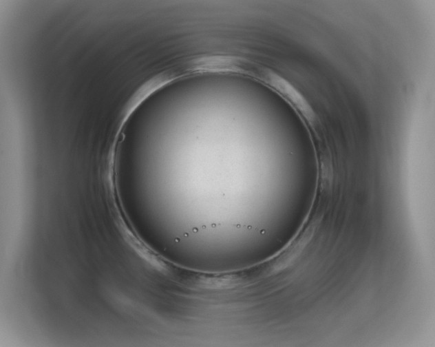 X0000113561386200909251049