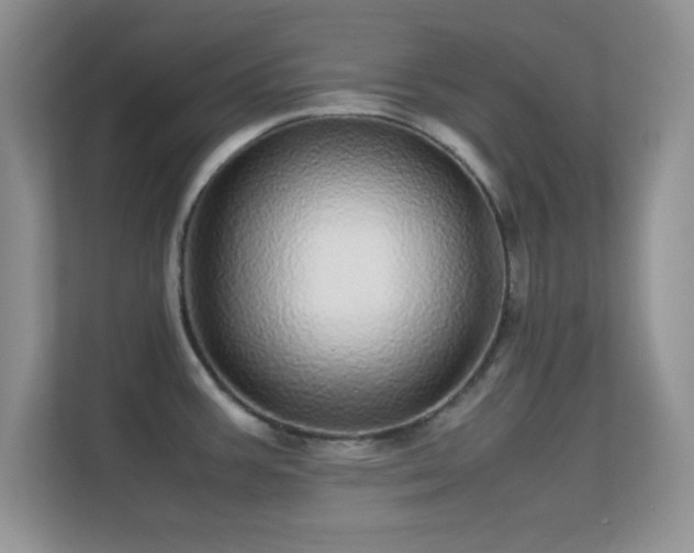 X0000113561387200909251049
