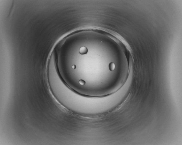 X0000113561388200909251049