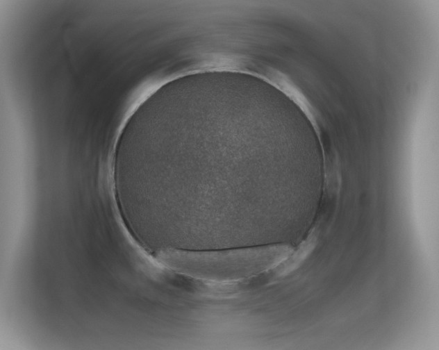 X0000113561389200909251049