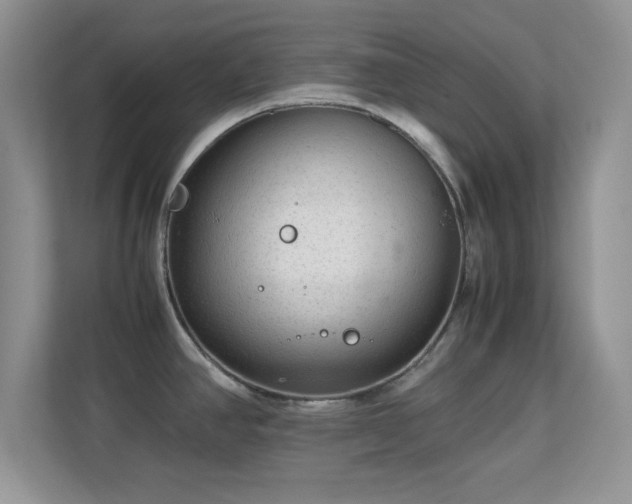 X0000113561390200909251049