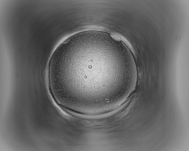 X0000113561391200909251049