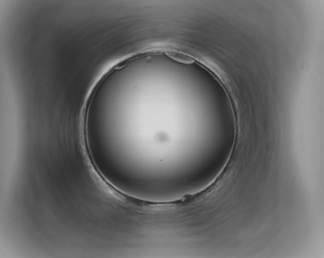 X0000113561392200909251049
