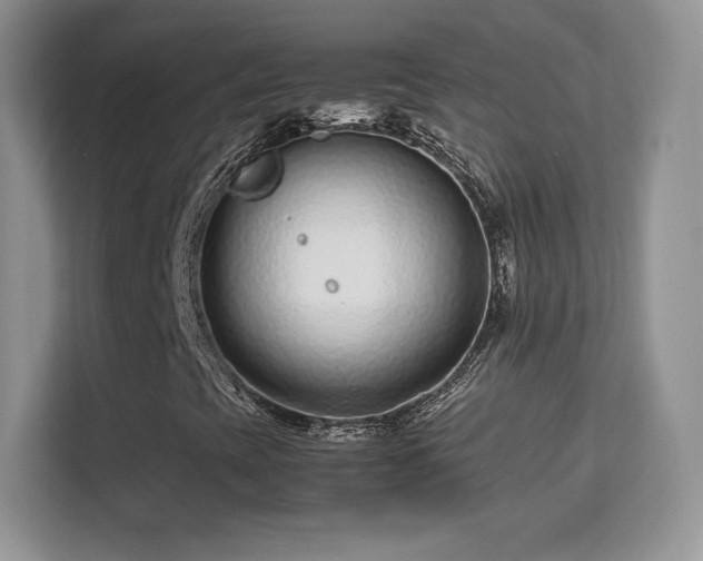 X0000113561393200909251049