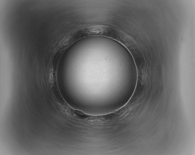 X0000113561394200909251049