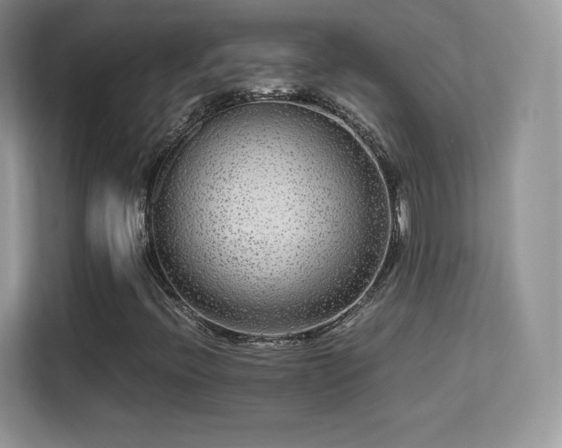X0000113561396200909251049