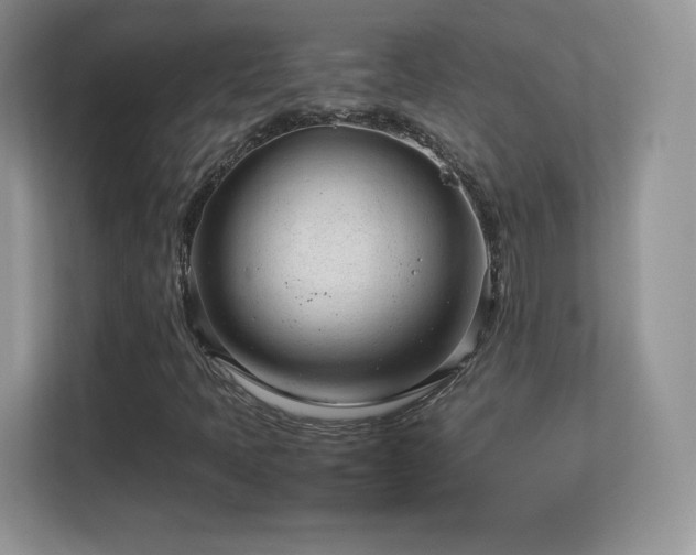 X0000113561397200909251049