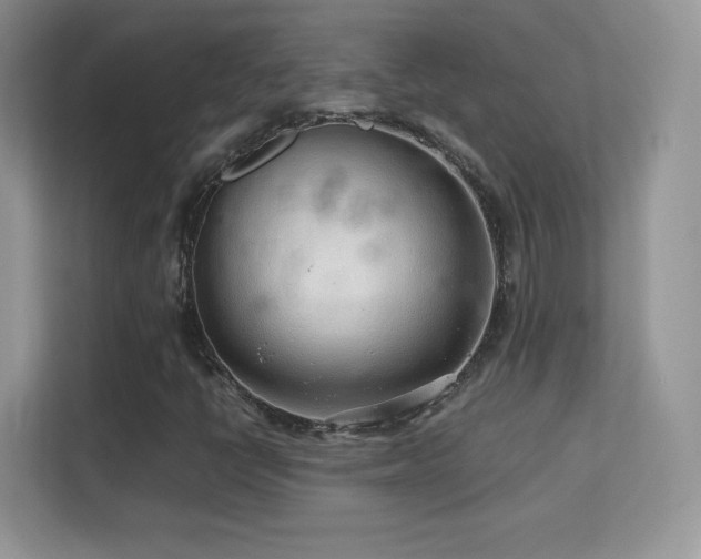 X0000113561398200909251049