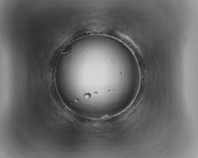 X0000113561399200909251049