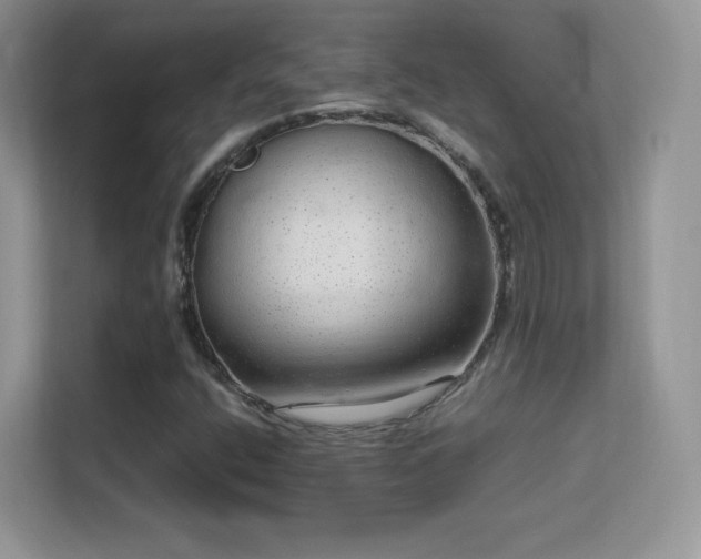 X0000113561400200909251049