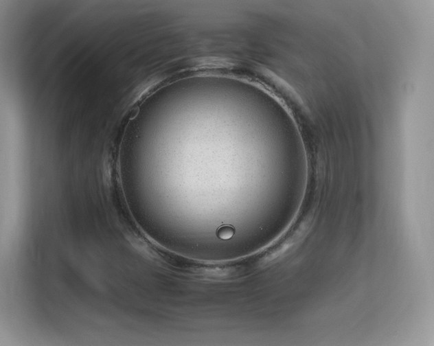 X0000113561401200909251049