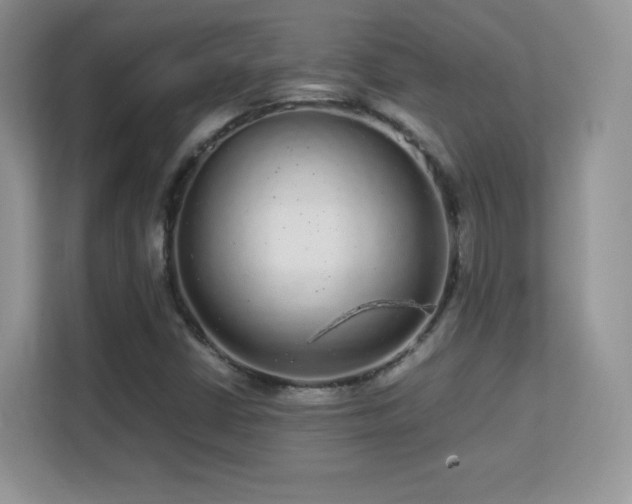 X0000113561402200909251049