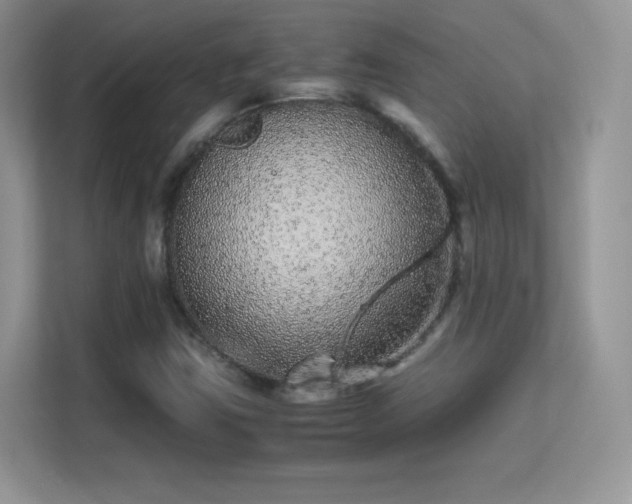 X0000113561403200909251049