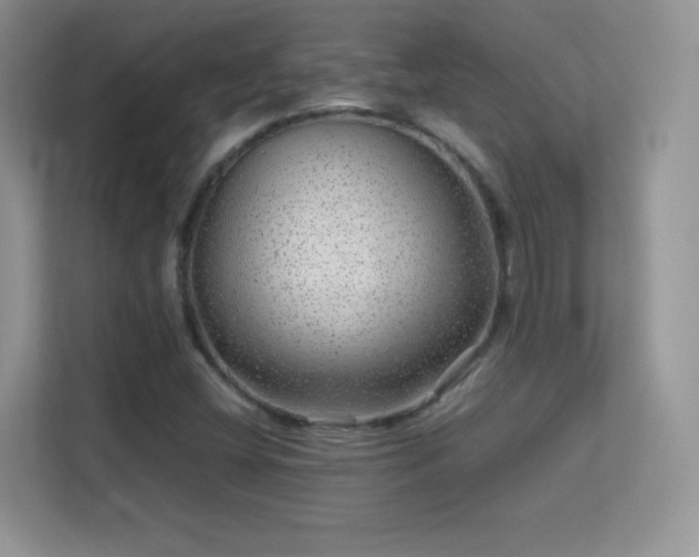 X0000113561404200909251049