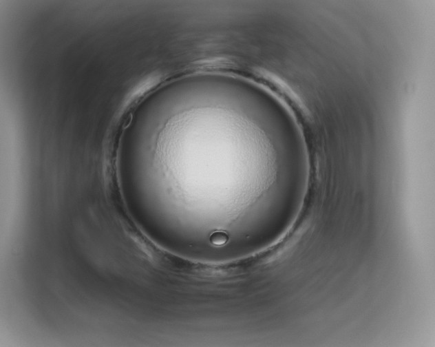X0000113561405200909251049