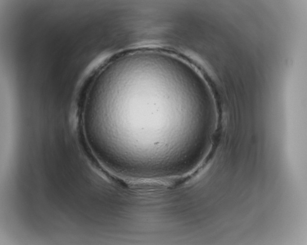 X0000113561406200909251049